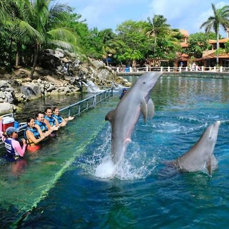 Increible Estudio En Puerto Aventuras, Condominio Con Alberca # 201 Exteriör bild