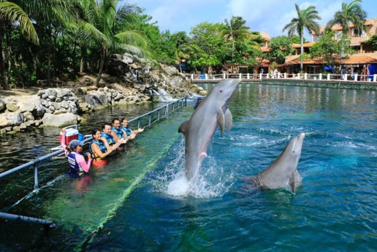 Increible Estudio En Puerto Aventuras, Condominio Con Alberca # 201 Exteriör bild